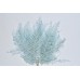 MOUNTAIN FERN SMALL 12" x 13" LIGHT BLUE