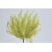 MOUNTAIN FERN SMALL 12" x 13" LIGHT GREEN